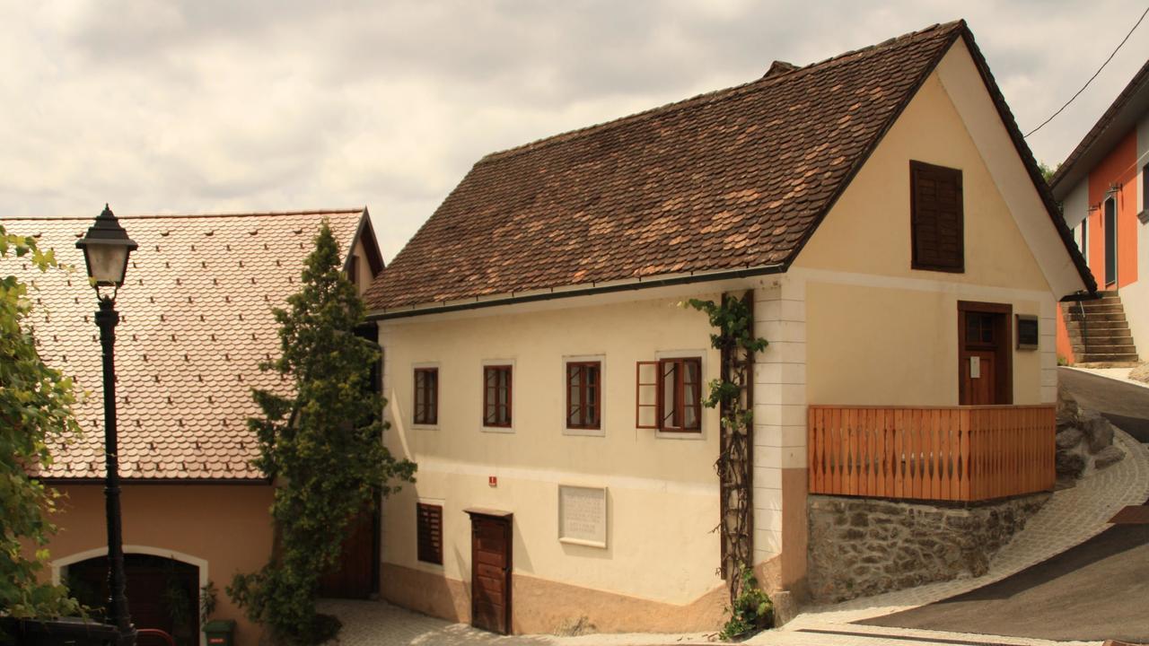 Guesthouse Bajc Vrhnika Exteriér fotografie