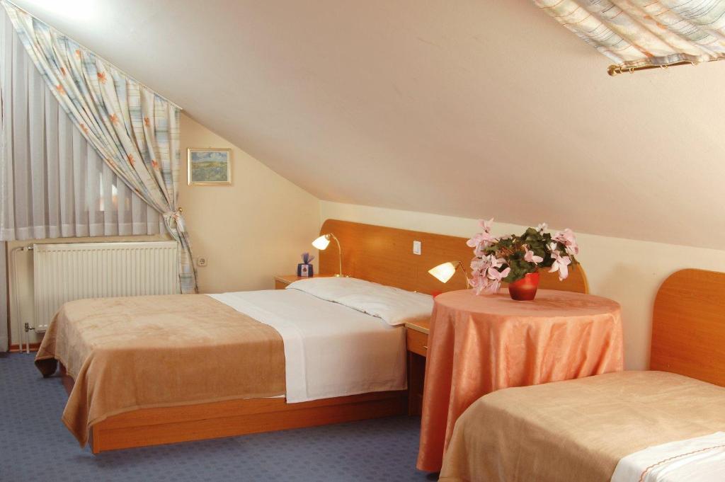 Guesthouse Bajc Vrhnika Pokoj fotografie